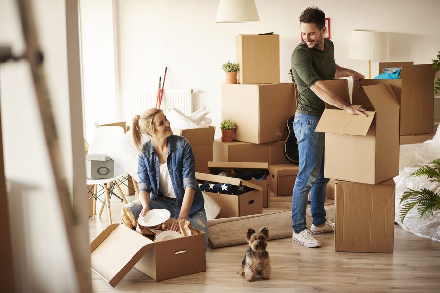 Pro Tips for Villa Moving